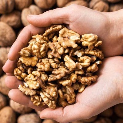 Suppliers of walnuts